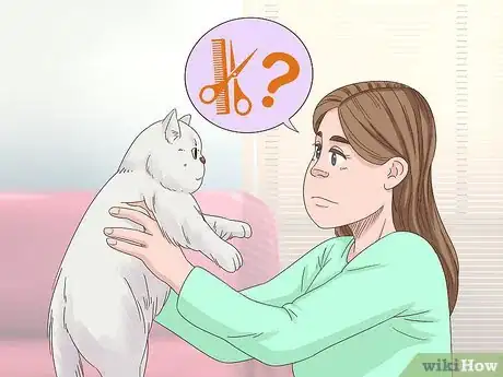 Image titled Keep Hair Out of Your Cat's Eyes Step 1
