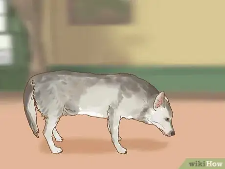 Image titled Evaluate a Dog's Temperament Before Choosing Step 7