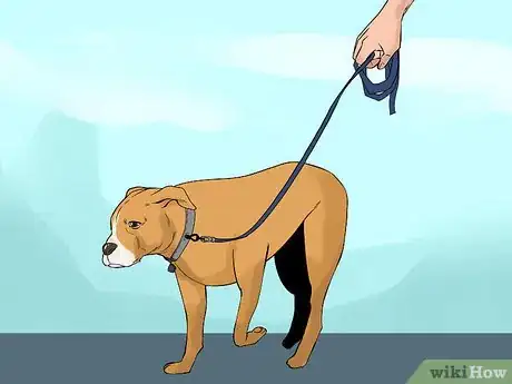 Image titled Catch a Runaway Dog Step 13