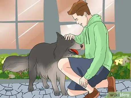 Image titled Rehabilitate an Overly Shy Dog Step 14