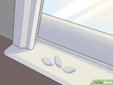 Image titled Plant a Plum Seed Step 4