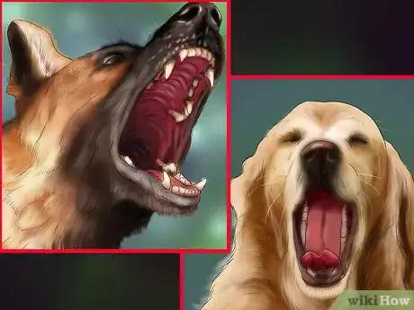 Image titled Help an Emotionally Disturbed Dog Step 1