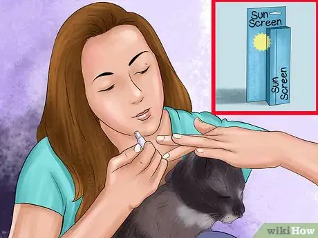 Image titled Protect an Outdoor Cat from Excess Sunlight Step 1