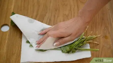 Image titled Dry Cilantro Step 20