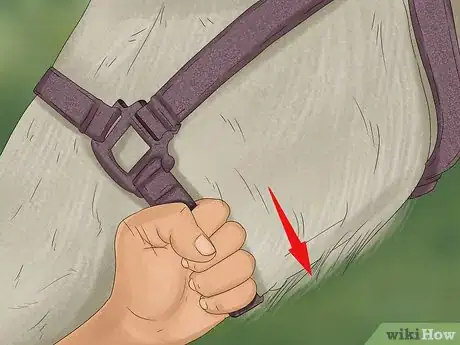 Image titled Prepare to Ride a Horse Step 15