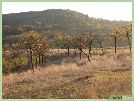 Image titled Start a Travel Blog Step 10