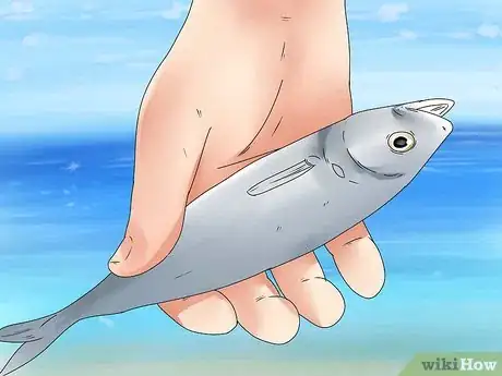 Image titled Catch Walleye Step 1