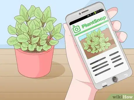 Image titled Use Medicinal Plants for Good Health Step 1