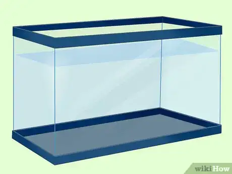 Image titled Treat Fungal Infections in Fish Step 1