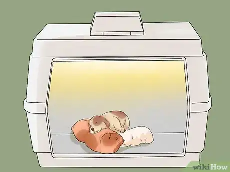 Image titled Whelp Large Breed Dogs Step 10