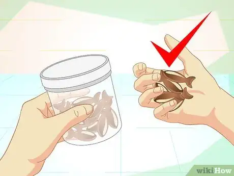 Image titled Teach Your Cat to Do Tricks Step 1