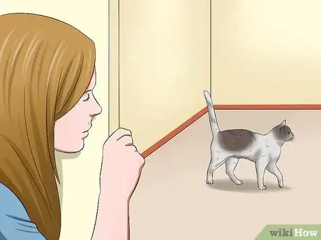 Image titled Amuse Cats Step 9