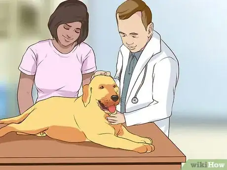 Image titled Introduce a Puppy to a Senior Dog Step 11