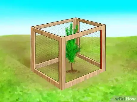 Image titled Plant Pine Trees Step 15