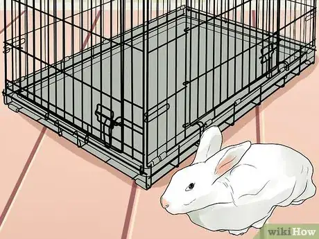 Image titled Choose a Pet Rabbit Step 1