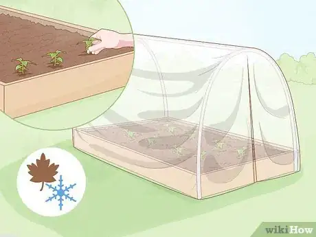 Image titled Grow Food in Winter Step 10