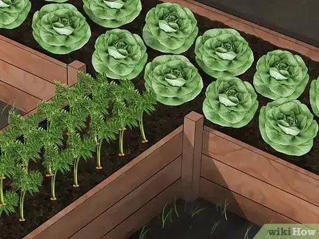Image titled Plan a Vegetable Garden Step 2
