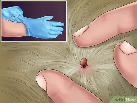 Image titled Prevent Ticks on Cats Step 8