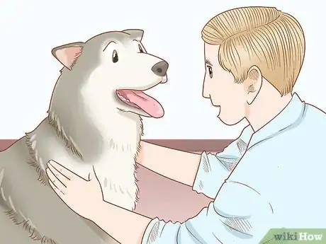 Image titled Train Your Dog to Walk or Heel Without a Choke Chain Step 8
