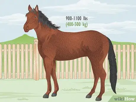 Image titled Fit a Horse for Support Boots Step 3