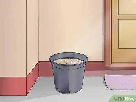 Image titled Grow Four O' Clock Flowers Step 13