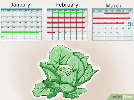 Image titled Plant Cabbage Step 1