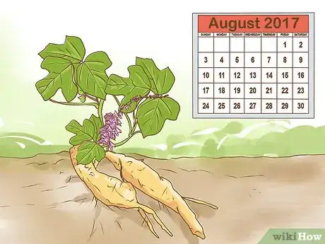 Image titled Harvest Kudzu Step 3