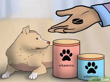 Image titled Strengthen an Older Dog's Immune System Step 4