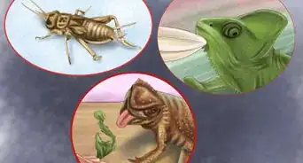 Make Your House a Better Place for Animals