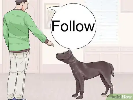 Image titled Get Your Dog to Follow You Step 2