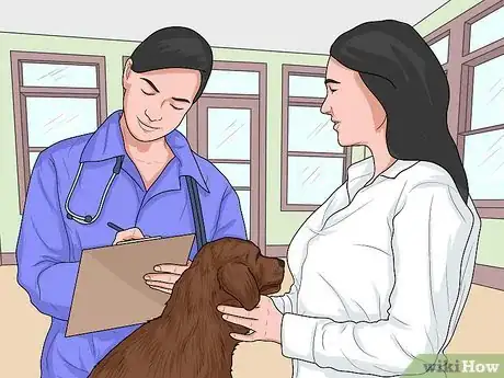 Image titled Choose a Dog‐Friendly Vacation Destination Step 14