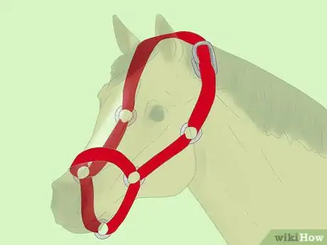 Image titled Make a Model Horse Headcollar Step 9
