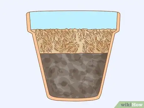 Image titled Grow Long Stem Roses at Home Step 13