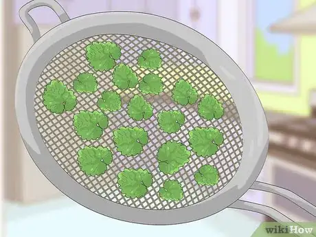 Image titled Eat Creeping Charlie Step 3