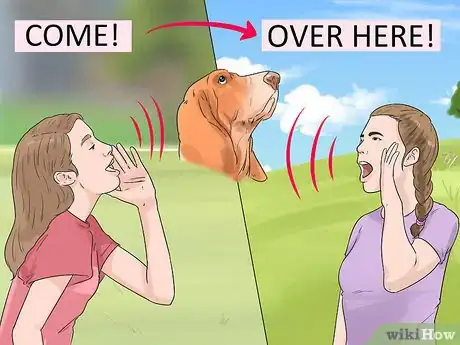 Image titled Enhance Your Dog's Recall Step 5