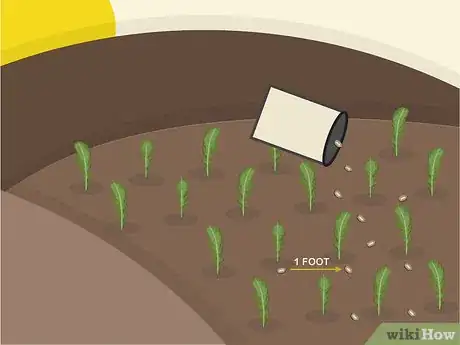 Image titled Plant Arugula Step 8