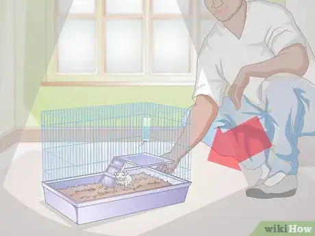 Image titled Know if Your Gerbil Is Having a Seizure Step 7