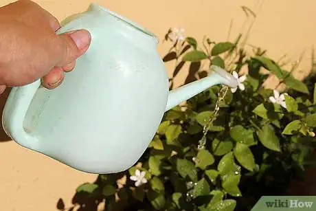 Image titled Care for Flowers Step 15