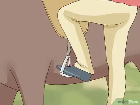 Image titled Get Your Horse to Stand Still for Mounting Step 4