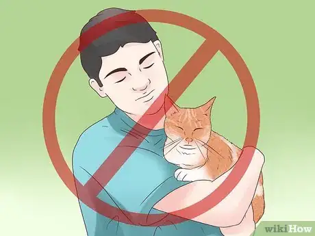 Image titled Treat Epilepsy in Cats Step 11