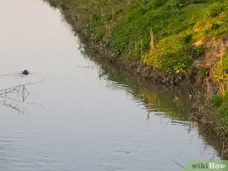 Image titled Find a Good Bass Fishing Spot Step 7
