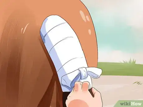 Image titled Apply a Horse Tail Bandage Step 6