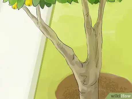 Image titled Prune a Quince Tree Step 10