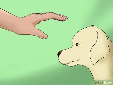 Image titled Get Your Dog to Pose for Santa Pictures Step 2