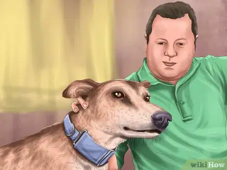 Image titled Care for a Greyhound Step 4