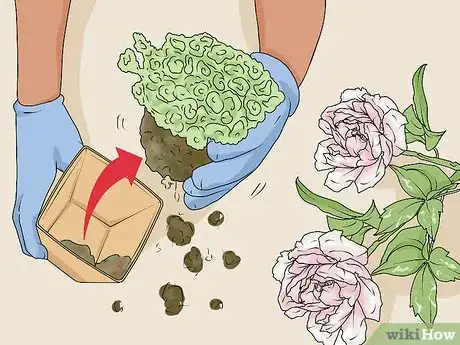 Image titled Plant a Rock Garden Step 21