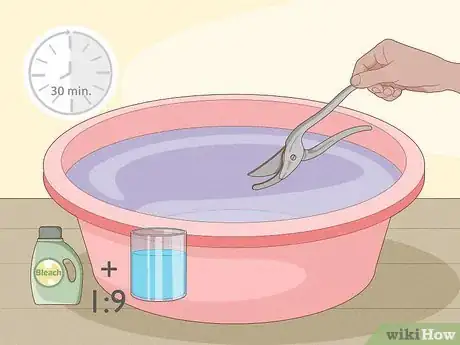 Image titled Prune Hollyhocks Step 9