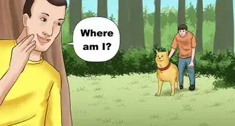 Walk a Dog in the Woods