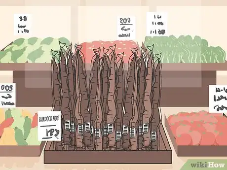 Image titled Use Burdock Root Step 01