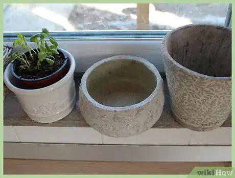 Image titled Troubleshoot Citrus Fruit Failure Step 3